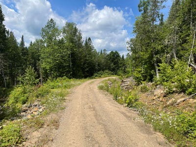 /international/ca/24-ch-mi-max-saint-alexis-des-monts-qc-j0k1v0-ca-saint-alexis-des-monts-quebec-310097678600/