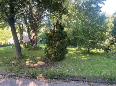 /international/ca/rue-de-la-fonderie-saint-placide-qc-j0v2b0-ca-saint-placide-quebec-310100103668/