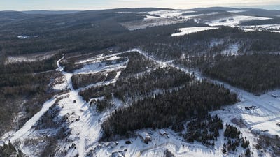 /international/ca/rue-des-frenes-degelis-quebec-310104181773/