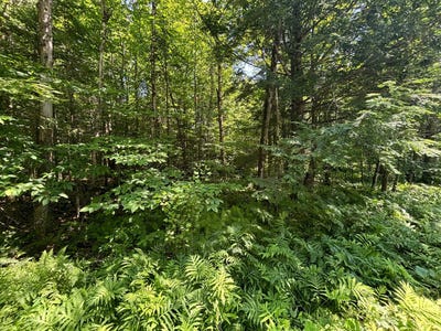 /international/ca/ch-du-pipeline-potton-qc-j0e1x0-ca-potton-quebec-310101015822/