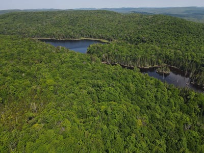 /international/ca/ch-du-lac-pelletier-wentworth-nord-qc-j0t1y0-ca-wentworth-nord-quebec-310097897219/?lang=zh-tw