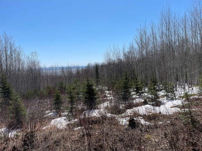 /international/ca/rue-principale-petite-riviere-saint-francois-quebec-310107235966/