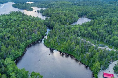 /international/ca/virginia-road-lot-13-springhill-nova-scotia-310107756782/