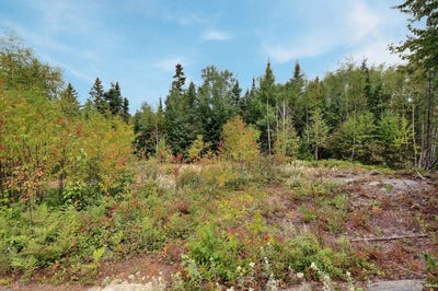 /international/ca/ch-des-trois-baies-sainte-monique-quebec-310102041300/
