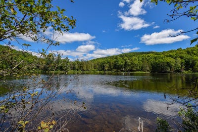 /international/ca/route-315-lac-simon-qc-j0v1e0-ca-lac-simon-quebec-310101132834/?lang=zh-tw