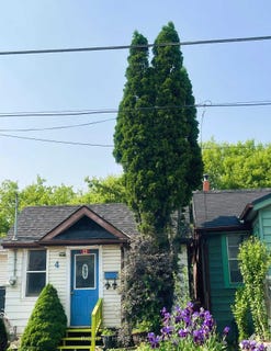 /international/ca/4-lucy-avenue-toronto-ontario-310100180719/?lang=zh-cn