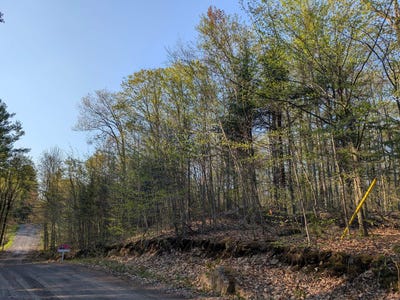 /international/ca/cote-st-georges-saint-colomban-quebec-310104562487/