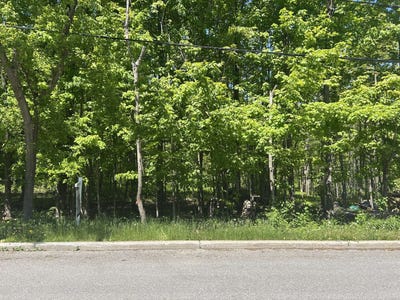 /international/ca/rue-de-la-montagne-waterloo-quebec-310105650283/