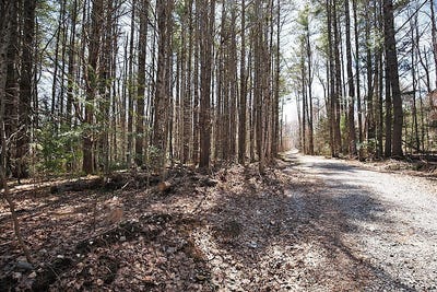 /international/ca/29-ch-pine-ridge-la-peche-quebec-310104491297/
