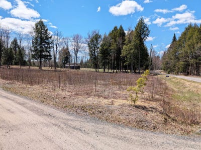 /international/ca/55-rue-des-grenats-o-kingsey-falls-quebec-310108784522/
