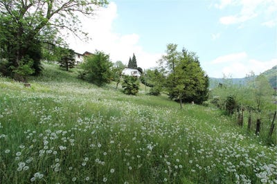 /international/ch/ponte-cremenaga-ponte-cremenaga-ticino-310099421964/