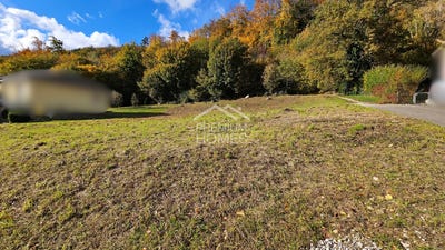 /international/ch/pieterlen-canton-of-bern-310108102542/
