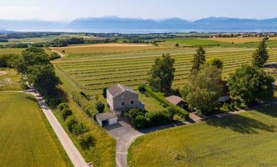 /international/ch/apples-apples-vaud-310108643375/?lang=de