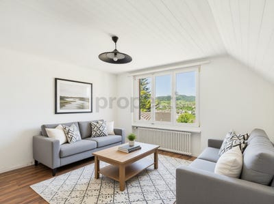 /international/ch/fullinsdorf-basel-landschaft-310107766480/