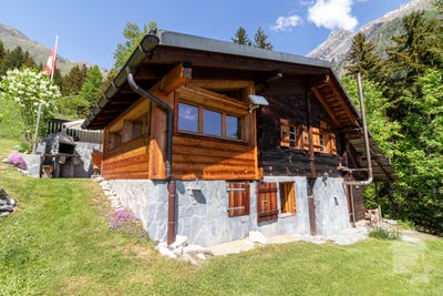 /international/ch/saviese-valais-310108760342/?lang=it