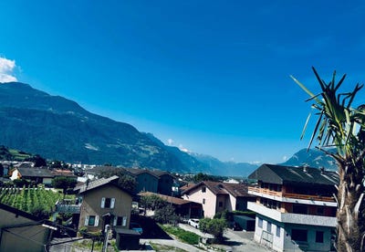 /international/ch/1964-conthey-valais-310101104691/?lang=zh-cn