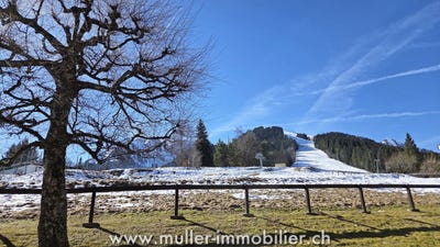 /international/ch/rte-de-la-jorette-60-torgon-valais-310106048681/