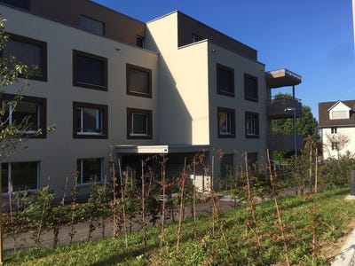 /international/ch/alte-zwillikerstrasse-7-hedingen-zurich-310109169783/