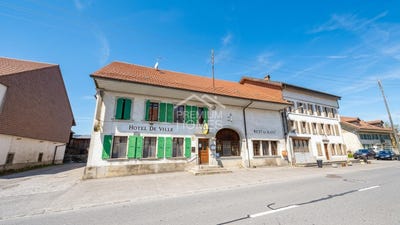 /international/ch/payerne-vaud-310110285538/