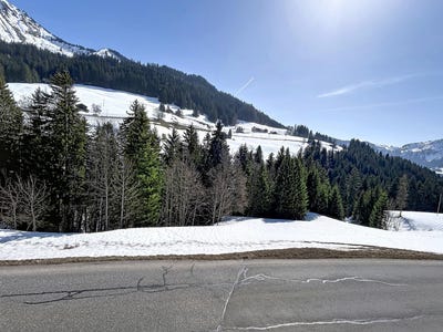/international/ch/les-mosses-vaud-310120433669/