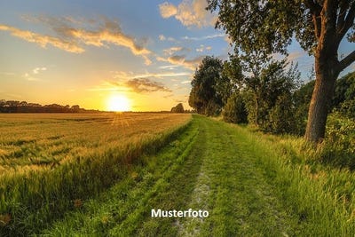 /international/ch/via-fund-lema-ticino-310120519870/