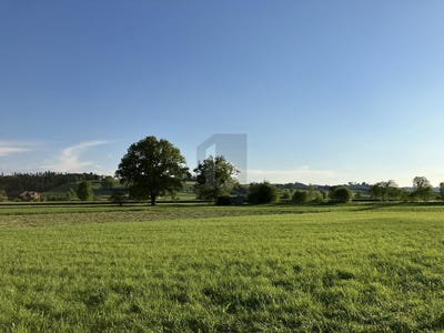 /international/ch/auf-anfrage-buttisholz-lucerne-310101206438/?lang=zh-tw