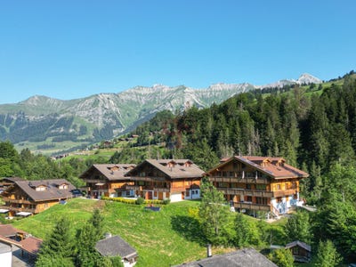 /international/ch/chateau-d-oex-vaud-120091397466/?lang=de