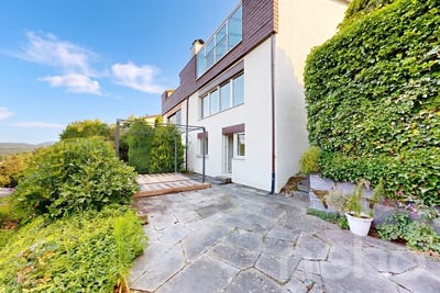 /international/ch/dachsen-dachsen-zurich-310108835864/