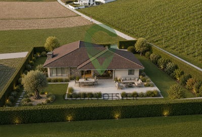 /international/ch/morges-vaud-310108589719/
