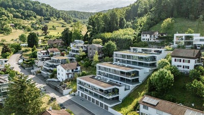 /international/ch/unterer-burghaldenweg-liestal-basel-landschaft-310107561544/