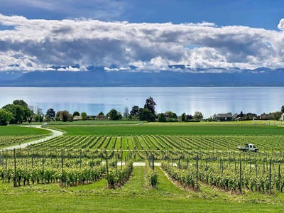 /international/ch/bursinel-bursinel-vaud-310107969992/