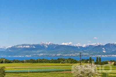 /international/ch/bursins-bursins-vaud-310108807738/