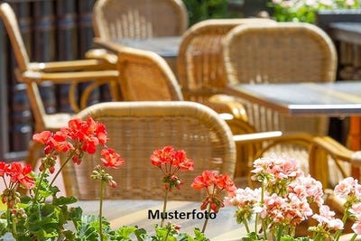 /international/ch/medagropp-centovalli-intragna-ticino-310108522216/