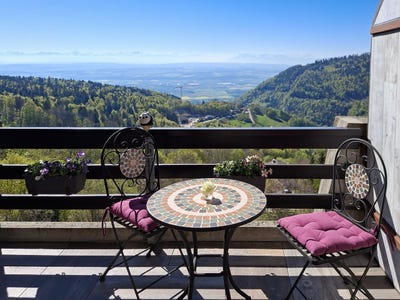 /international/ch/chemin-du-belvedere-10-ste-croix-vaud-310103453697/