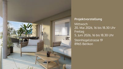 /international/ch/steinhugelstrasse-19-berikon-aargau-310107560021/