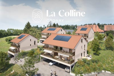 /international/ch/vaud-cronay-vaud-310107444736/