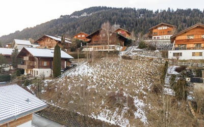 /international/ch/eggetlistrasse-23-zweisimmen-canton-of-bern-310105298763/