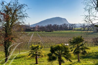 /international/ch/presinge-geneva-310106421335/?lang=it