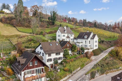 /international/ch/trachterholzstrasse-3-5-mannedorf-zurich-310109122774/