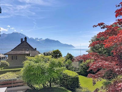 /international/ch/veytaux-veytaux-vaud-310108323464/