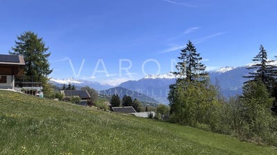 /international/ch/chemin-des-melezes-saviese-valais-310109076098/