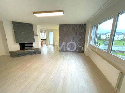 /international/ch/heerbrugg-st-gallen-310101016477/
