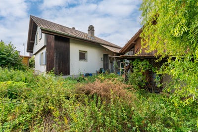 /international/ch/reismuhle-dagmersellen-lucerne-310120099193/