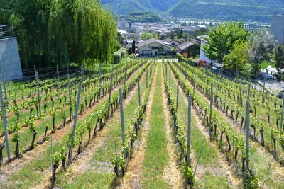 /international/ch/sierre-valais-310107676201/