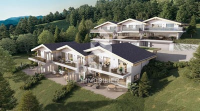 /international/ch/vex-valais-310108808611/