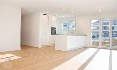 /international/ch/bahnhofstrasse-25c-burglen-tg-thurgau-310108697677/