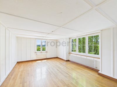 /international/ch/schaffhausen-canton-of-schaffhausen-310101226025/