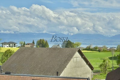/international/ch/charme-de-l-ancien-morges-vaud-310105374843/