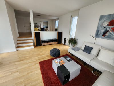 /international/ch/brugg-ag-aargau-310105381858/