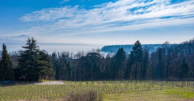 /international/ch/dully-dully-vaud-310098576800/
